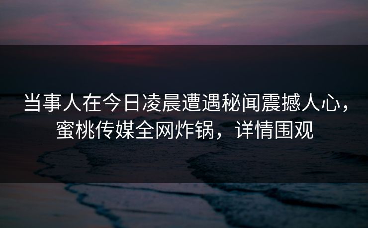 当事人在今日凌晨遭遇秘闻震撼人心，蜜桃传媒全网炸锅，详情围观